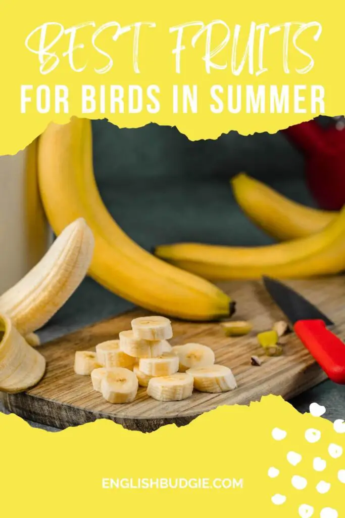 Bananas for Birds