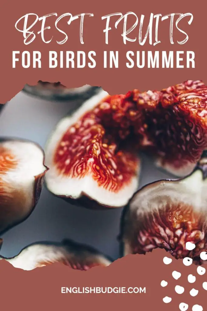 Figs for Birds