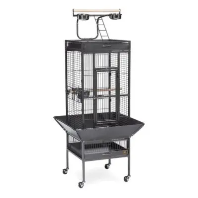 Prevue Hendryx Prevue Pet Products Wrought Iron Select Bird Cage Black Hammertone 3151BLK