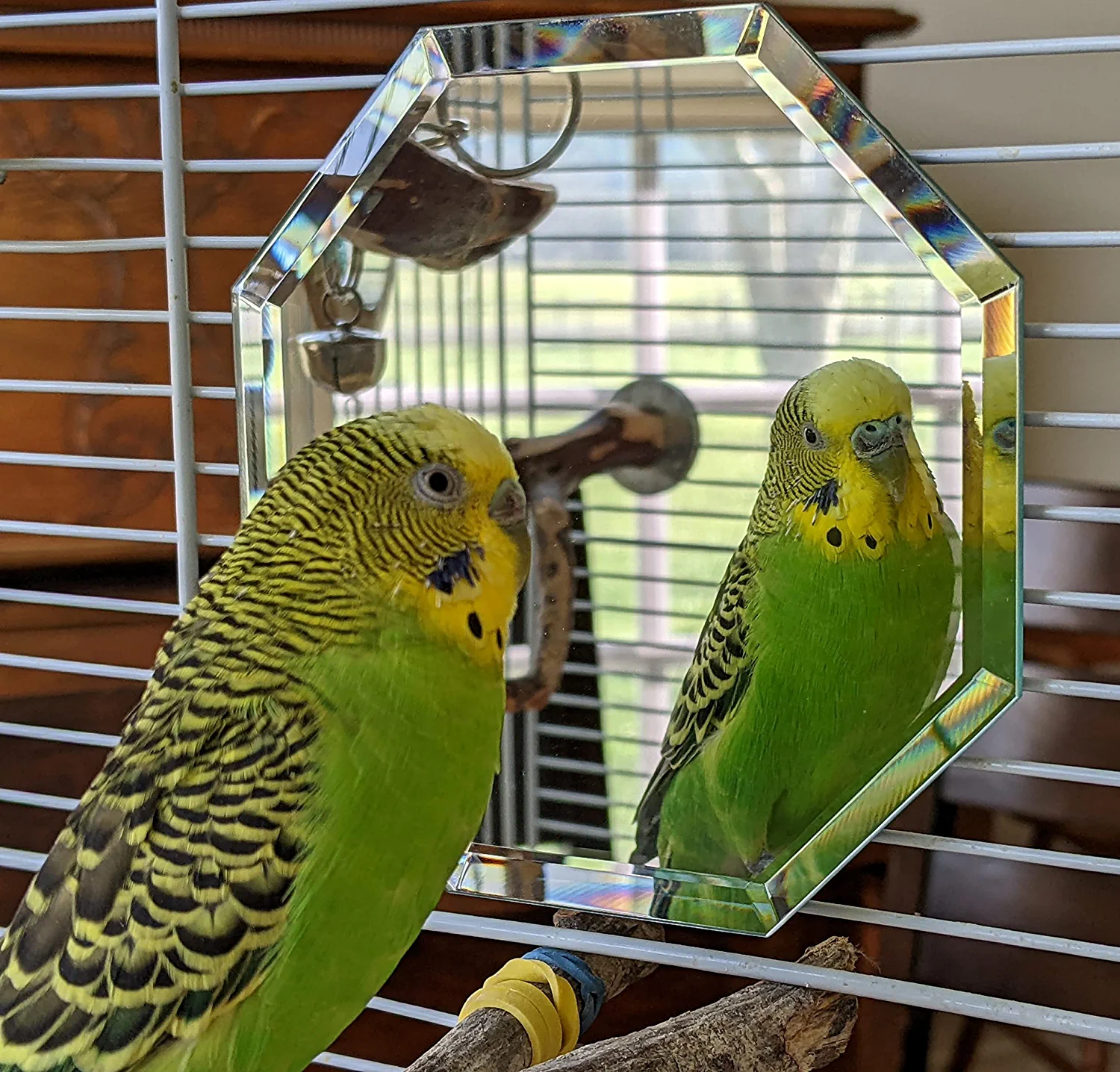 dcDalton Birdcage Mirror